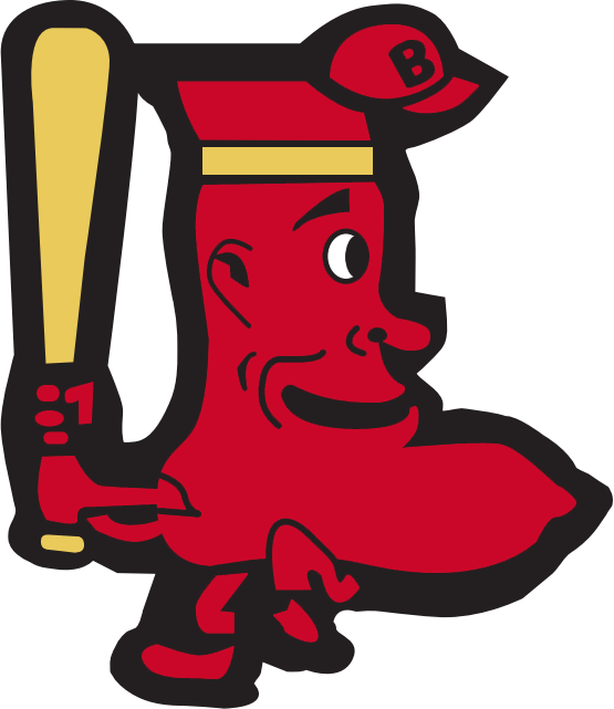 Boston Red Sox 1950-1959 Alternate Logo iron on heat transfer